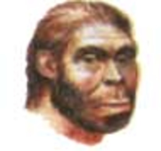 Человек умелый.