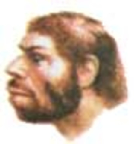 Неандерталец.