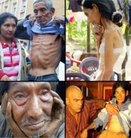 LA DESTRUCCIÓN DEL MOVIMIENTO SOCIAL