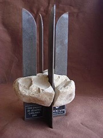 Rep el premi d'Honor de les Lletres Catalanes i la Medalla d'Honor de la Universitat de Lleida.