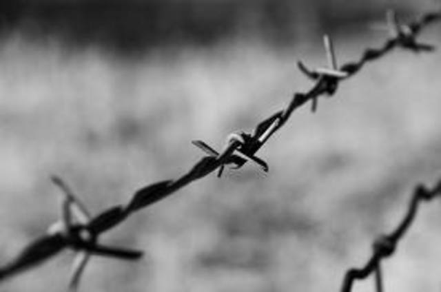 Barbed Wire