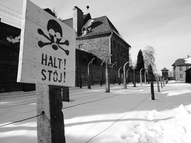 Germans plan to breed an Aryan elite race