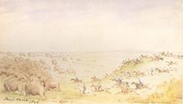 Collapse of the Bison Herds