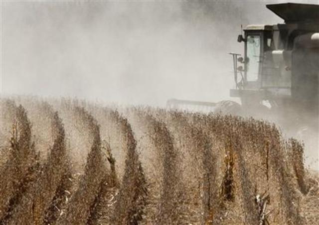 Taking over the farm