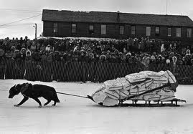 Buck pulled 1000 lbs of flour. John Thorton got $1,600 and payed his debts off. He took a crew to look for gold.