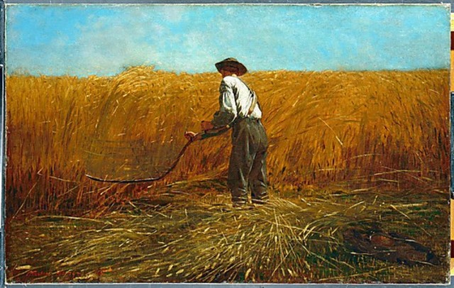 A Veteran in a New Field