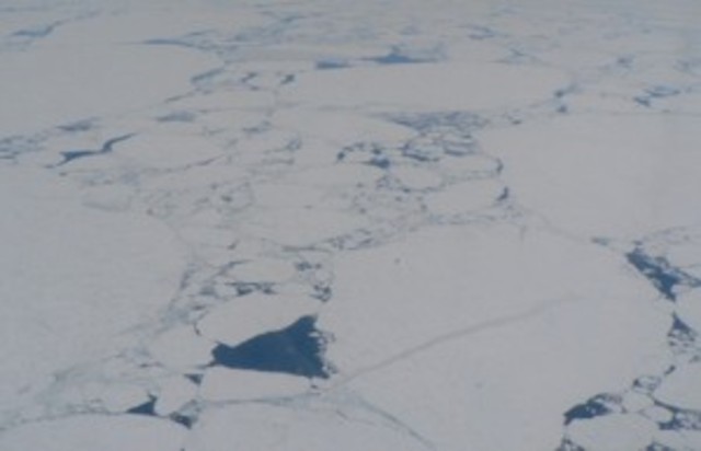 The sled broke the ice and everyone died expect john and Buck.