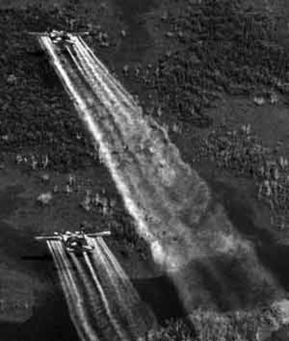 Agent Orange Makes an Apperence