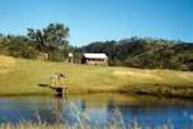 Wave Hill Station strike begins