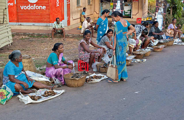 St. Francis Xavier travelles to India