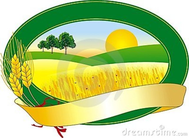 Start My Own Buisness