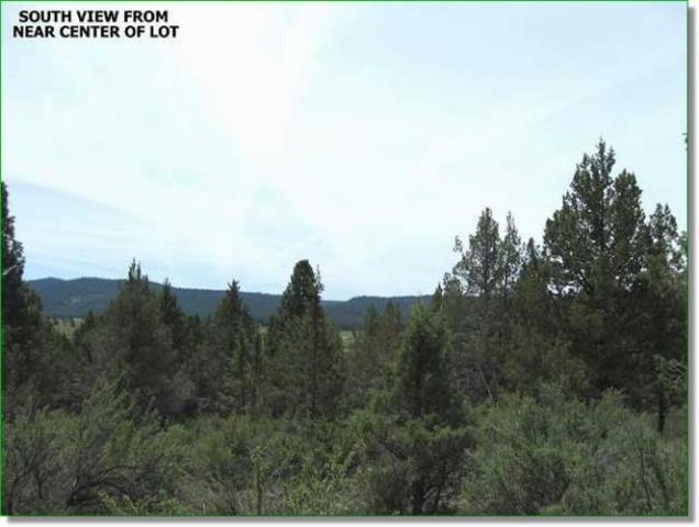 Inexpensive of Free Land!