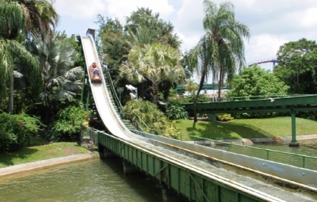 I Get Injured at Busch Gardens