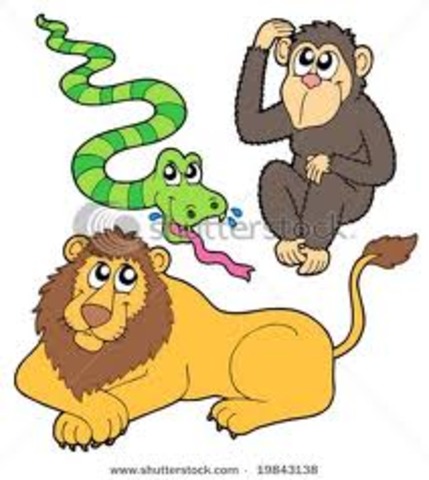 Fieldtrip to the Zoo