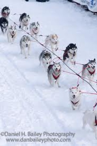 Buck pulls 1 thousand pounds for John