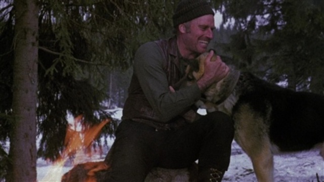 Buck starts to love John Thorton