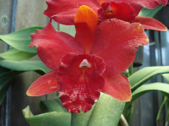 Sun and Water Plant Sprouts