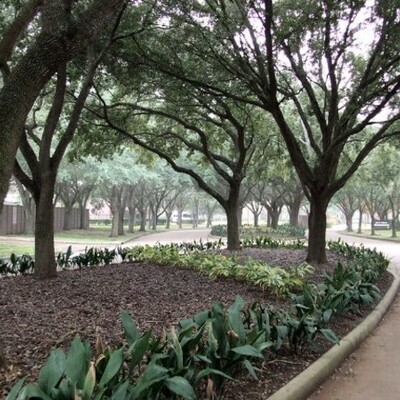 Timeline: Immigration