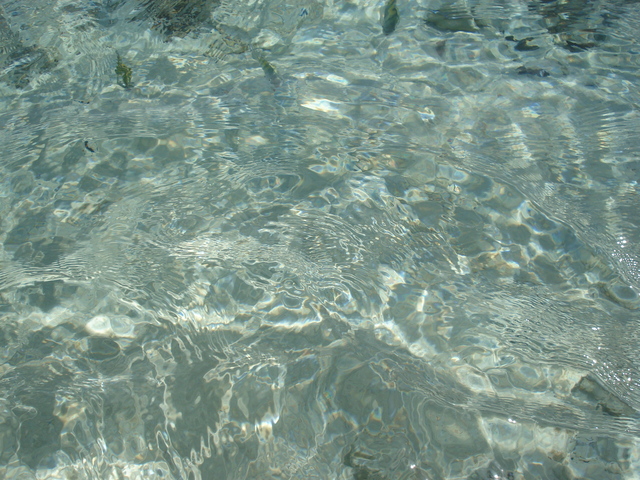 The "Water Only" plant sprouted