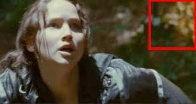 Katniss hides from the careers.