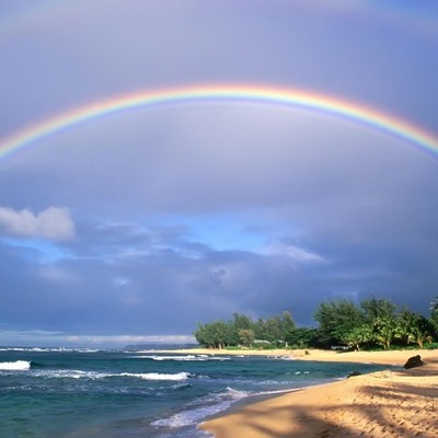 Timeline: My Biography