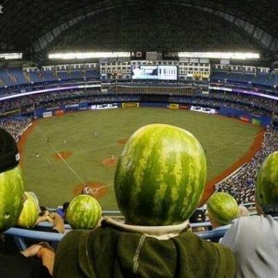 Timeline: Family Events