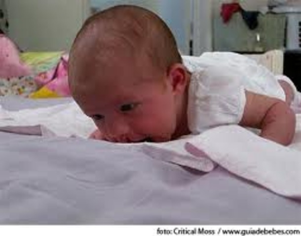 Posicion prono. reacciones de enderezamiento