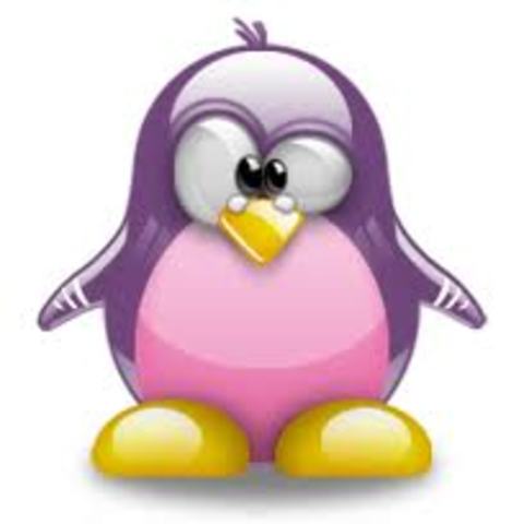 linux version 2.6.0