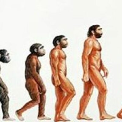 Timeline: Origen y evolcuion del hombre