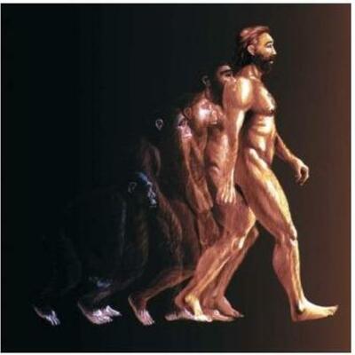 Timeline: EVOLUCION DEL HOMBRE (ETAPAS)