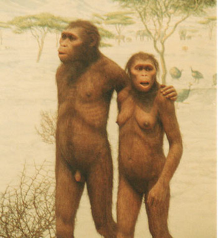 Australopithecus (4millones de años antes)