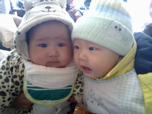 Chinese babies