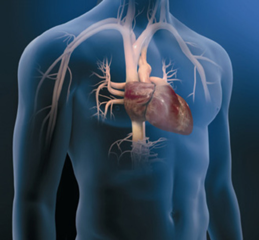 THE CURRENT CARDIOLOGY