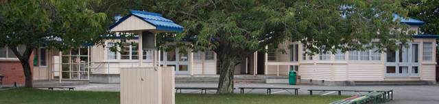 First Day at Greytown Primary