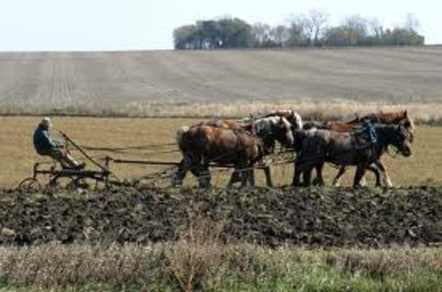 Mid 1800s farming