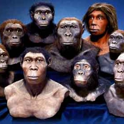 Timeline: Origen y Evolucion del Hombre