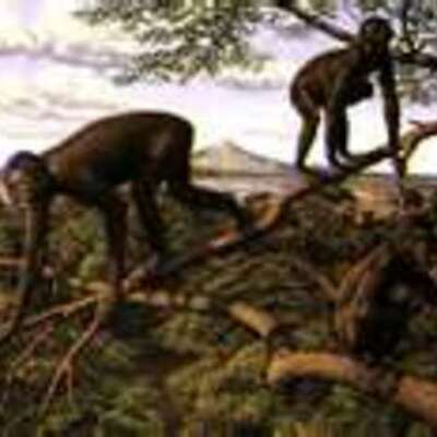 Timeline: Evolucion del hombre