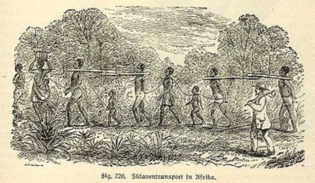 Congress bans slave trade