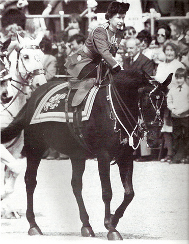 Shot at during Trooping the Colour