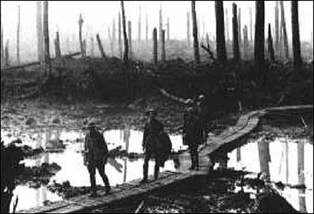 The Battle of Mulhouse