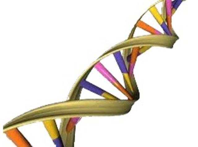 Factores que provocaron un cambio