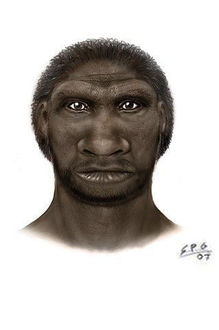 Homo cepranensis (800000 años a.C)