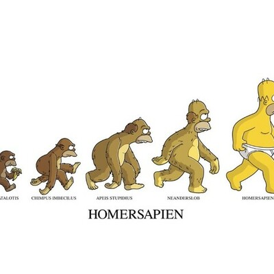 Timeline: Evolucion del Hombre