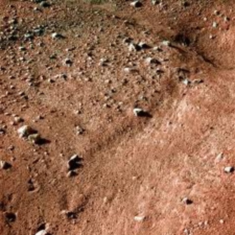 Mars Surface