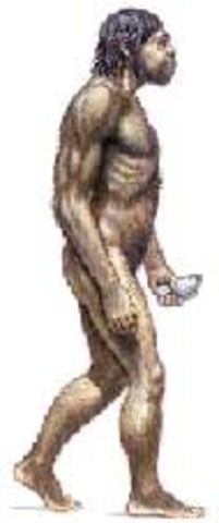 Hace 250 mil o 50 mil años aparecio el Homo sapiens neanderthalis