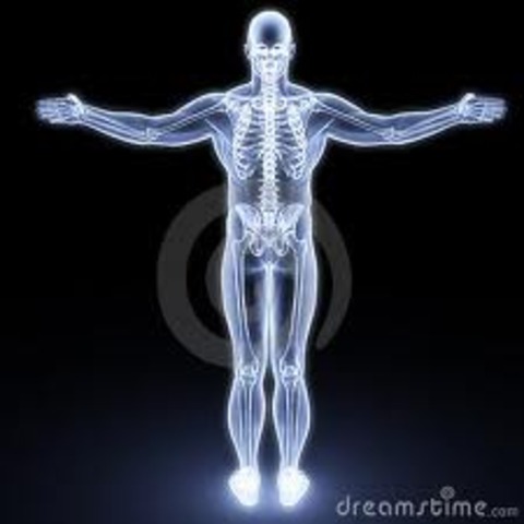 The Human Retrovirus