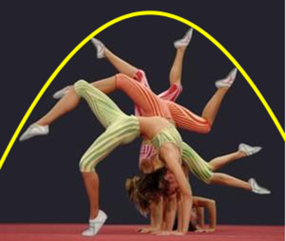 Most of partners done their work