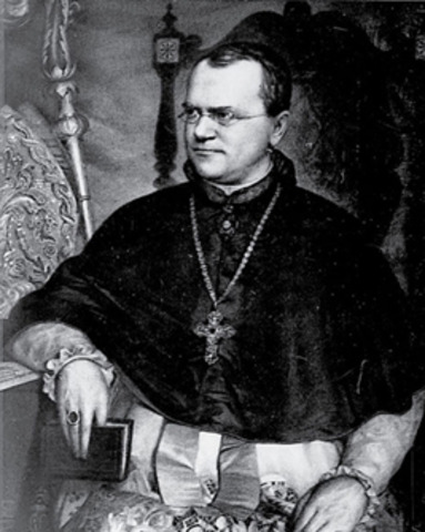 Teacher of the Royal School of Brunn