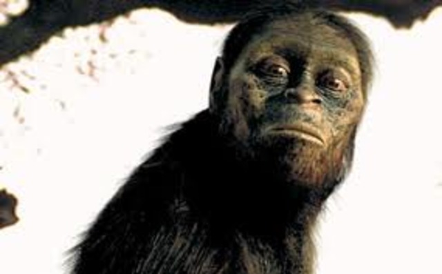 hace 65 millones de años