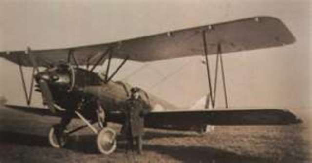 Avro Avian